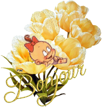 bonjour!!!!   bonjour !!!!